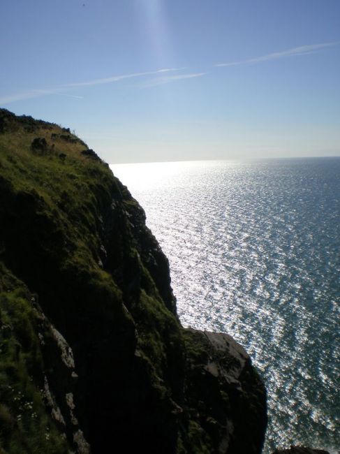 Zdjęcia: New Quay, ..., WALIA Zdjęcia: New Quay, ..., WALIA