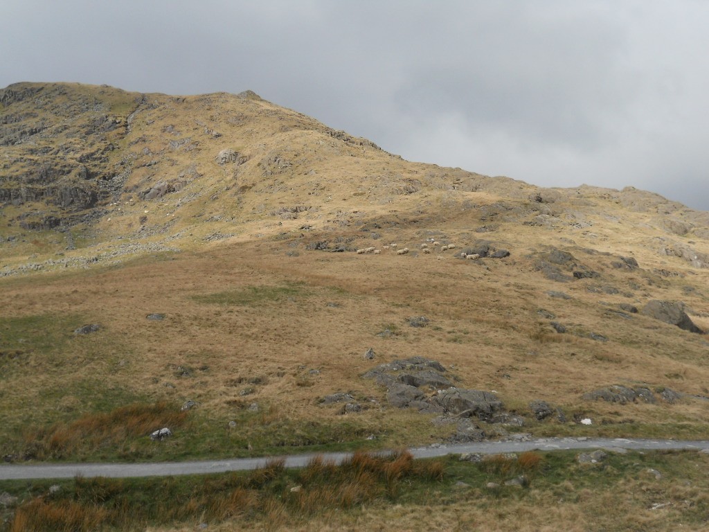 Zdjęcia: Snowdonia National Park, Snowdonia, W drodze na Snowdon, WALIA Zdjęcia: Snowdonia National Park, Snowdonia, W drodze na Snowdon, WALIA