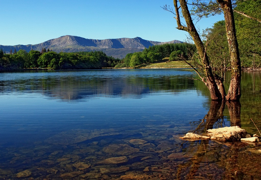 Zdjęcia: Jezioro Llyn Cynwch, Snowdonia N.P., Tu znajdziesz spokój, WALIA Zdjęcia: Jezioro Llyn Cynwch, Snowdonia N.P., Tu znajdziesz spokój, WALIA