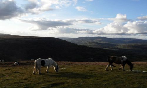 Zdjcie WALIA / Brecon Beacons National Park / Brecon Beacons National Park / Park Narodowy