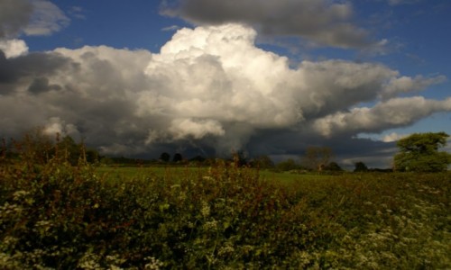 Zdjecie WALIA / - / Walia / Cudo Natury