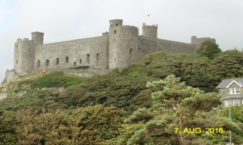 Zdjcie WALIA / hrabstwo Gwynedd / Harlech / Zamek w Harlech