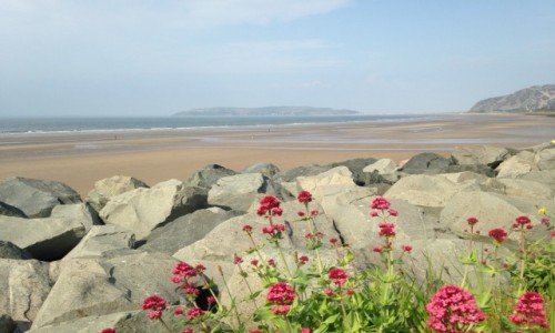 Zdjęcie WALIA / hrabstwo Conwy / Północna Walia / Walijski poranek na plaży