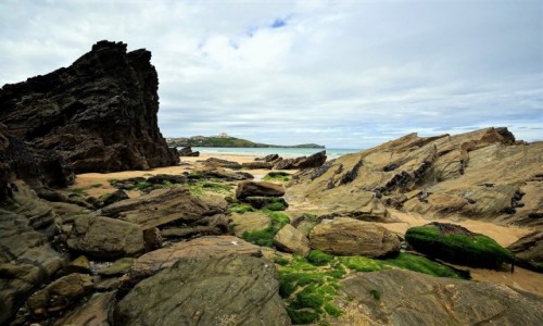 Zdjcie ANGLIA / Kornwalia / Newquay / Odpyw