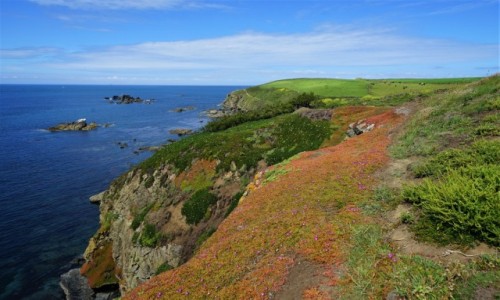 Zdjęcie ANGLIA / Kornwalia / Lizard Point / Kolorowy klif
