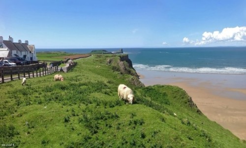 Zdjcie WALIA /  poudniowo-zachodni pwysep Gower . / Rhossili Bay. / Rhossili - Worms Head (Gowa Smoka).