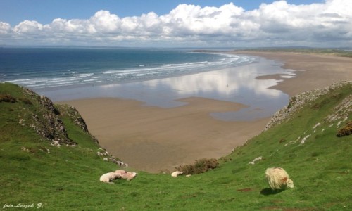 Zdjcie WALIA / Pwysep Gower. / Rhossili. / Najpikniejsza plaa Walii.