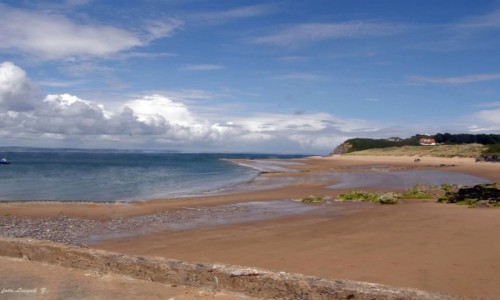 Zdjecie WALIA / Morze Celtyckie. /  Hrabstwo Pembrokeshire / Na Wyspie Caldey.
