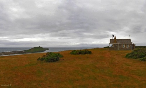 Zdjcie WALIA / Gower. / Rhossili. / Rhossili - Worms Head.