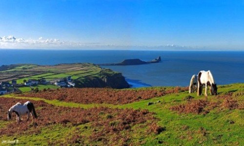 Zdjcie WALIA / Gower. / Pwysep Gower. / Panorama - Rhossili z klifw.