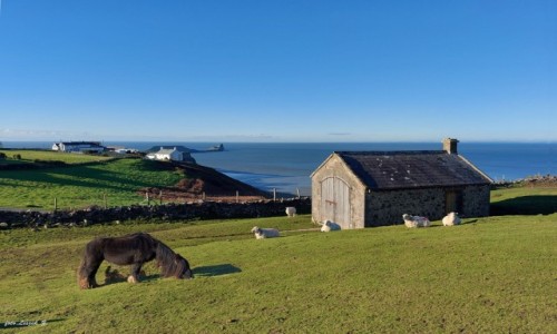 Zdjcie WALIA / Gower. / Pwysep Gower. / Na szlaku do Rhossili Down Commons.