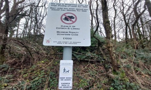 Zdjęcie WALIA / Jezioro Fendrod. / Cała Walia. / ...a może w Polsce takie kary?