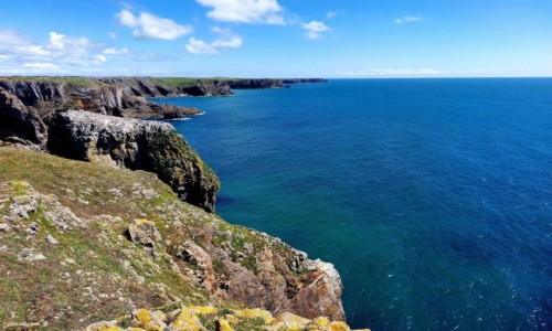 Zdjcie WALIA /  Coast National Park / poligon wojskowy Castlemartin. /  Park Narodowy Wybrzea Pembrokeshire.