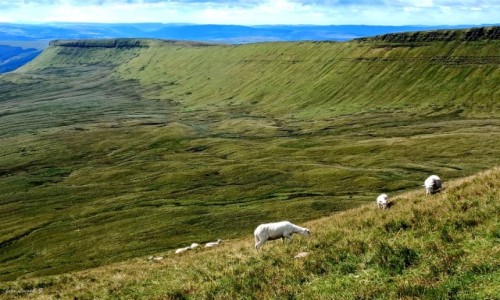 Zdjcie WALIA / Brecon Beacons National Park. / Szlak na Pen y Fan. / Zdobywamy Pen y Fan.