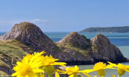 Zdjecie WALIA / Pwysep Gower. / Parkmill. / Trzy Klify.