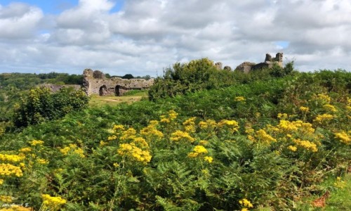 Zdjecie WALIA / Pwysep Gower. / Parkmill. / Ruiny zamku wrd rolin.