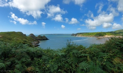 Zdjęcie WALIA / Półwysep Gower. / Parkmill. /
