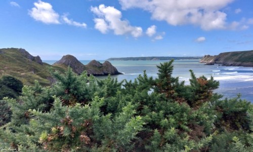 Zdjecie WALIA / Pwysep Gower. / Parkmill. / 