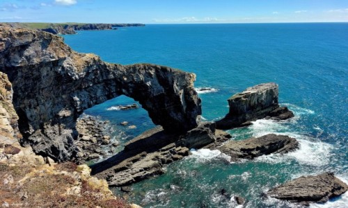 Zdjcie WALIA / Park Narodowy Pembrokeshire Coast. / Poligon wojskowy Castlemartin. / Zielony Most Walii.