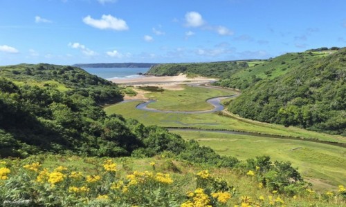 Zdjecie WALIA / Pwysep Gower, / Parkmil. / Zatoka 