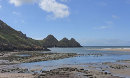 WALIA / Pwysep Gower. / Parkmill. / 