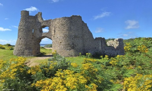 WALIA / Pwysep Gower, / Parkmill. / Ruiny zamku Pennard i Starzec Jakubek.