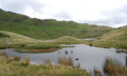 Zdjcie WALIA / SNOWDONIA / SNOWDON / Moczary