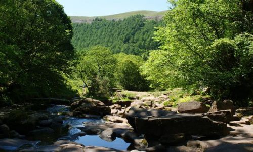 Zdjęcie WALIA / - / Talybont / Rzeczka