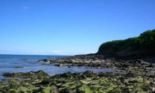 Zdjęcie WALIA / - / Mumbles / Odpływ w Mumles