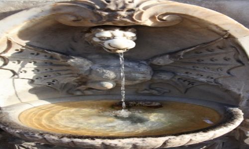 Zdjęcie WATYKAN / Lacjum / Plac Św. Piotra / Poidełko ze smoczkiem