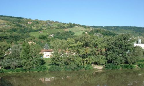 Zdjecie WGRY / - / TOKAJ / TOKAJ