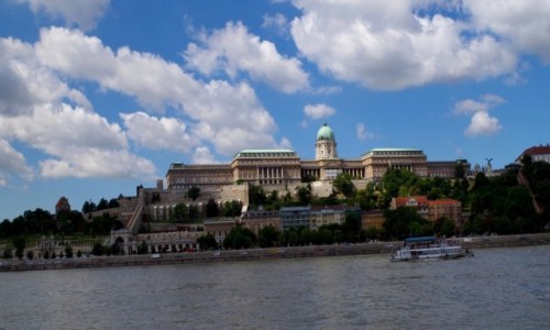 Zdjcie WGRY / - / Budapeszt  / -zamek krlewski -