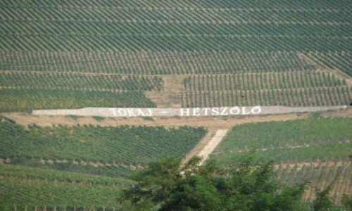 Zdjecie WGRY / brak / Tokaj / Gra tokajska