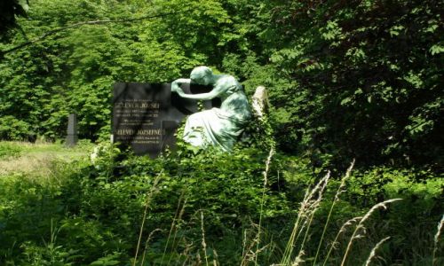Zdjęcie WĘGRY / BUDAPESZT / CMENTARZ  / RZE¬BY NAGROBNE