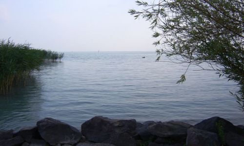 Zdjecie WGRY / - / Balaton / Balaton