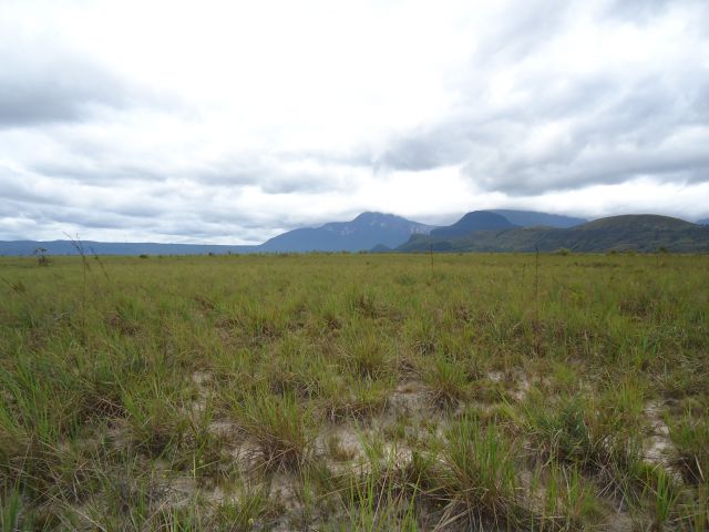 Zdjęcia: Park Narodowy Canaima, Bolivar, Gran Sabana (4), WENEZUELA Zdjęcia: Park Narodowy Canaima, Bolivar, Gran Sabana (4), WENEZUELA
