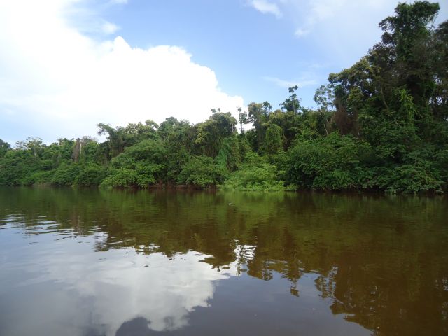 Zdjęcia: Rio Caura, Bolivar, Krajobraz z rzeką, WENEZUELA Zdjęcia: Rio Caura, Bolivar, Krajobraz z rzeką, WENEZUELA