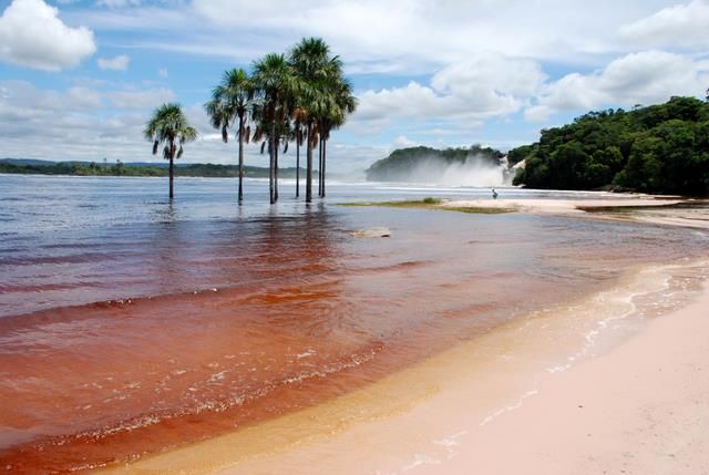 Zdjęcia: Canaima, Plaża w Canaimie, WENEZUELA Zdjęcia: Canaima, Plaża w Canaimie, WENEZUELA