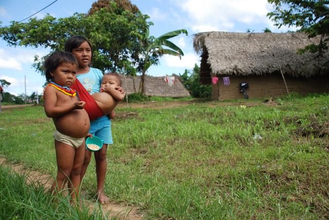 Zdjęcia: Rio Caura, Rio Caura, dzieciaki wzdłuż rzeki rio caura, WENEZUELA Zdjęcia: Rio Caura, Rio Caura, dzieciaki wzdłuż rzeki rio caura, WENEZUELA