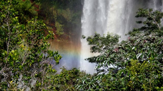 Zdjęcia: Sabana, Gran, SALTO KAMA, WENEZUELA Zdjęcia: Sabana, Gran, SALTO KAMA, WENEZUELA
