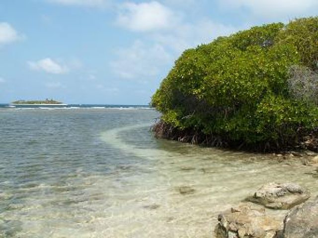 Zdjęcia: Cayo Muerto, Chichiriviche, Cayo Muerto, WENEZUELA Zdjęcia: Cayo Muerto, Chichiriviche, Cayo Muerto, WENEZUELA