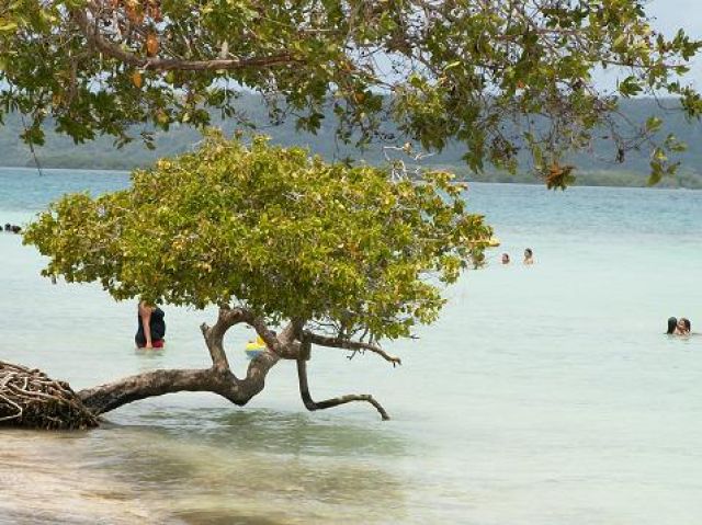 Zdjęcia: Parque Morrocoy, Chichiriviche, Cayo Muerto, WENEZUELA Zdjęcia: Parque Morrocoy, Chichiriviche, Cayo Muerto, WENEZUELA