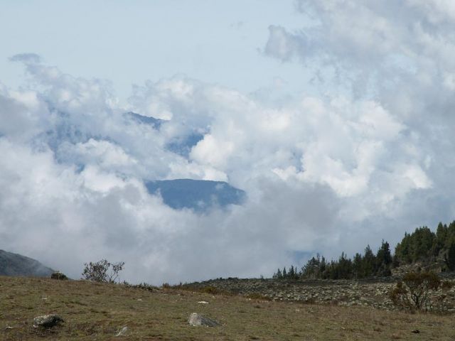 Zdjęcia: Parqe Nacional SIERRA NEVADA, Andy, SIERRA NEVADA, WENEZUELA Zdjęcia: Parqe Nacional SIERRA NEVADA, Andy, SIERRA NEVADA, WENEZUELA