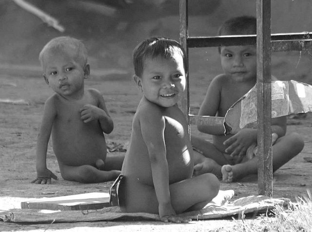 Zdjęcia: coshilowateri, amazonas, ..., WENEZUELA Zdjęcia: coshilowateri, amazonas, ..., WENEZUELA