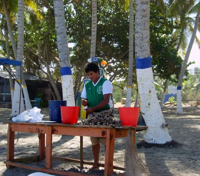 Zdjęcia: plaża, Margarita, czyszczenie krewetek, WENEZUELA Zdjęcia: plaża, Margarita, czyszczenie krewetek, WENEZUELA