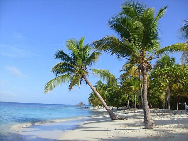 Zdjęcia: cayo sombrero, Wenezuela Park Morrocoy, Rajskie klimaty, WENEZUELA Zdjęcia: cayo sombrero, Wenezuela Park Morrocoy, Rajskie klimaty, WENEZUELA