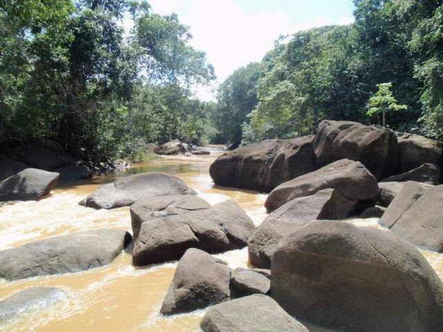 Zdjęcia: Guyana, Delta Orinoko, Kamienie, WENEZUELA Zdjęcia: Guyana, Delta Orinoko, Kamienie, WENEZUELA
