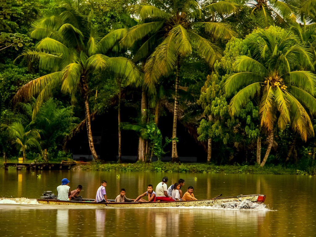 Zdjęcia: WIOSKA INDIAN WARAO, DELTA ORINOCO, Mokro wszędzie....., WENEZUELA Zdjęcia: WIOSKA INDIAN WARAO, DELTA ORINOCO, Mokro wszędzie....., WENEZUELA