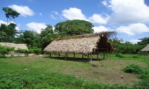 Zdjecie WENEZUELA / Bolivar / Rio Caura / Typowa chata