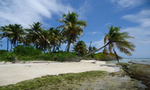 Zdjecie WENEZUELA / Falcon / Park Narodowy Morrocoy / A ju na wyspach jest tak ...